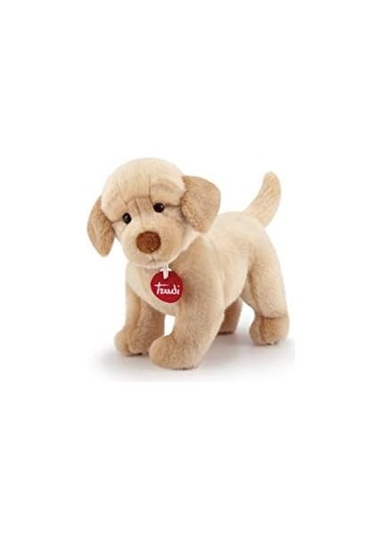 Peluş Labrador Liam fiyatları