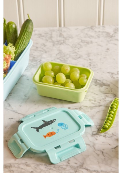 Plastik Small Lunchbox - Mint Vahşi Yaşam fiyatları