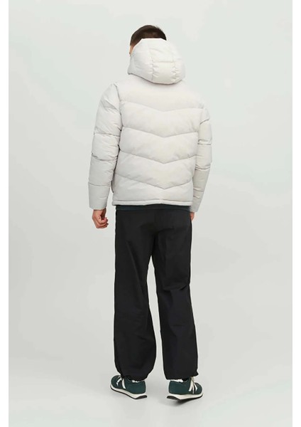 Erkek Kapüşonlu Puffer Mont - 12238849