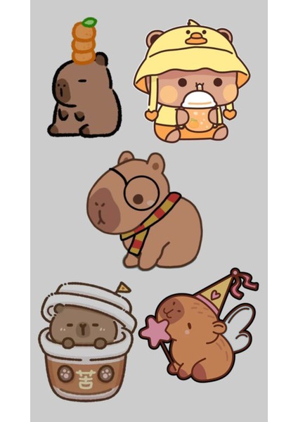 Capybara Sticker Telefon Laptop Notebook Tablet Defter Matara Stiker Etiket ST1733