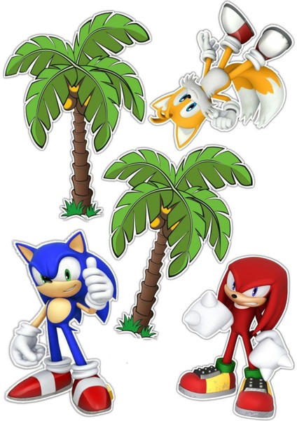 Sonic Sticker Telefon Laptop Notebook Tablet Defter Matara Stiker Etiket ST778