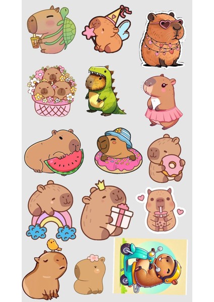 Capybara Sticker Capibara Etiket Kapibara Sticker Capibara Sticker ST1655