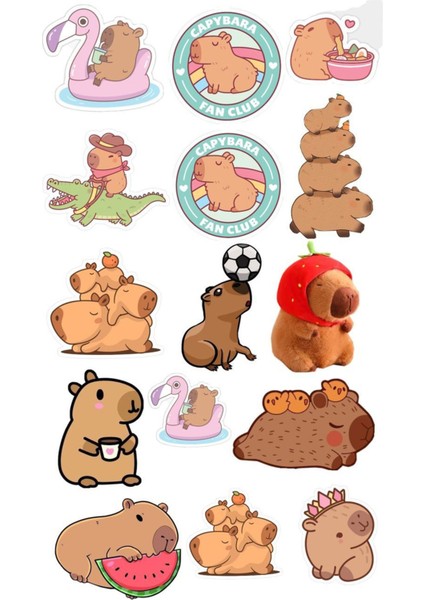 Anime Sticker Telefon Laptop Notebook Tablet Defter Matara Stiker Etiket ST1228
