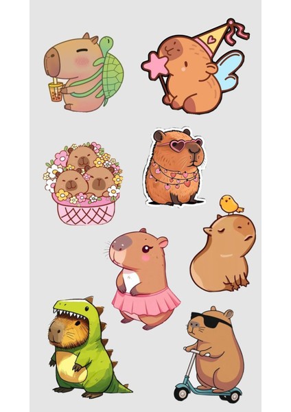 Kapibara Sticker Telefon Laptop Notebook Tablet Defter Matara Stiker Etiket ST1687