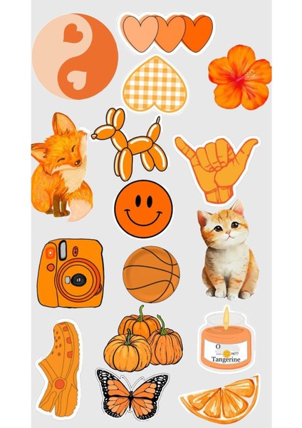 Popüler Turuncu Sticker Telefon Laptop Notebook Tablet Defter Matara Stiker Etiket ST1159
