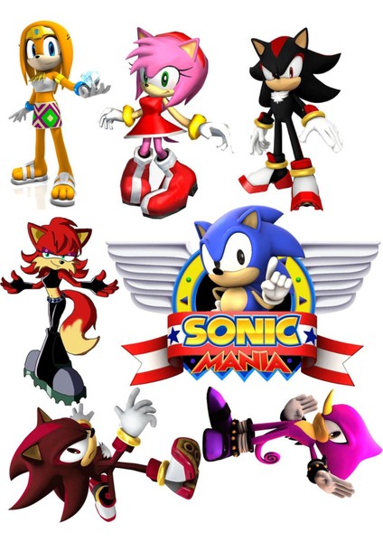 Sonic Sticker Telefon Laptop Notebook Tablet Defter Matara Stiker Etiket ST771