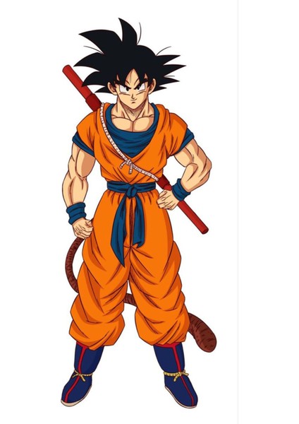 Dragon Ball Sticker Telefon Laptop Notebook Tablet Defter Matara Stiker Etiket ST852