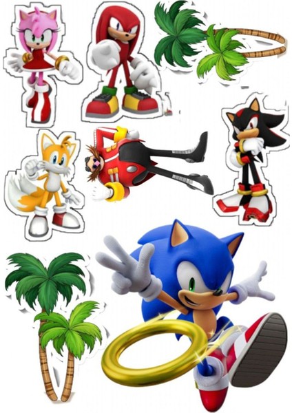 Sonic Sticker Telefon Laptop Notebook Tablet Defter Matara Stiker Etiket ST707