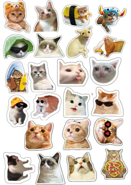 Kediler Sticker Telefon Laptop Notebook Tablet Defter Matara Stiker Etiket ST899