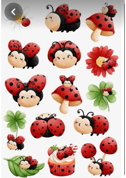Uğur Böceği Sticker Telefon Laptop Notebook Tablet Defter Matara Stiker Etiket ST1470