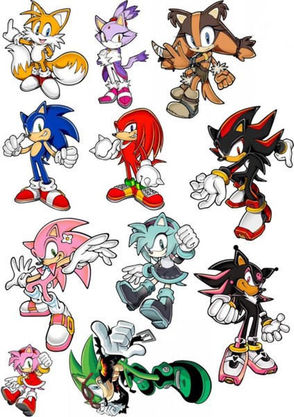 Sonic Sticker Telefon Laptop Notebook Tablet Defter Matara Stiker Etiket ST685
