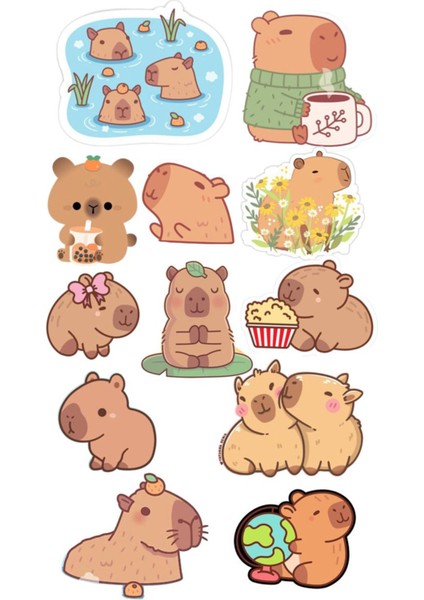 Capybara Sticker Telefon Laptop Notebook Tablet Defter Matara Stiker Etiket ST1657