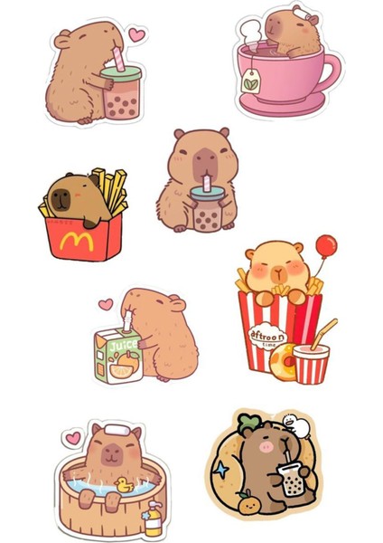 Capybara Sticker Telefon Laptop Notebook Tablet Defter Matara Stiker Etiket ST1677