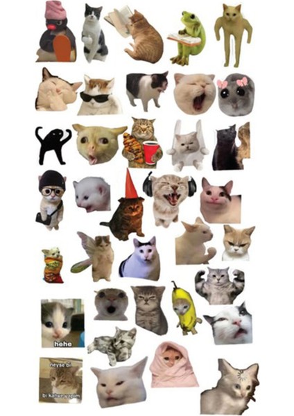Kedi Sticker Telefon Laptop Notebook Tablet Defter Matara Stiker Etiket ST1411