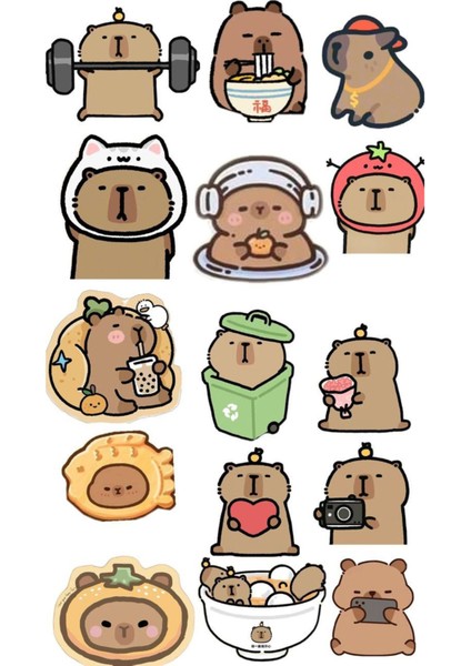 Capybara Sticker Telefon Laptop Notebook Tablet Defter Matara Stiker Etiket ST1684