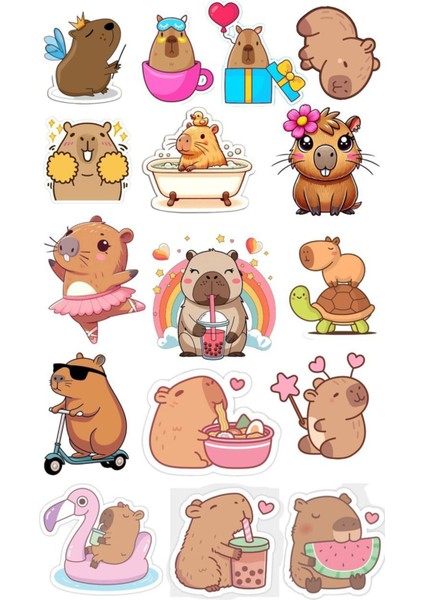 Capybara Sticker Capibara Etiket Kapibara Sticker Capibara Sticker ST1636