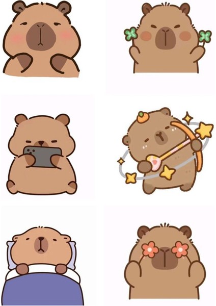 Capibara Sticker Telefon Laptop Notebook Tablet Defter Matara Stiker Etiket ST1769