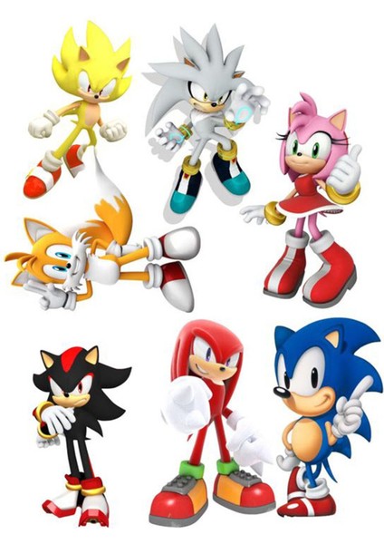 Sonic Sticker Telefon Laptop Notebook Tablet Defter Matara Stiker Etiket ST205