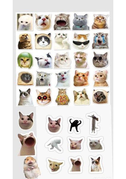 Kedi Sticker Telefon Laptop Notebook Tablet Defter Matara Stiker Etiket ST1259