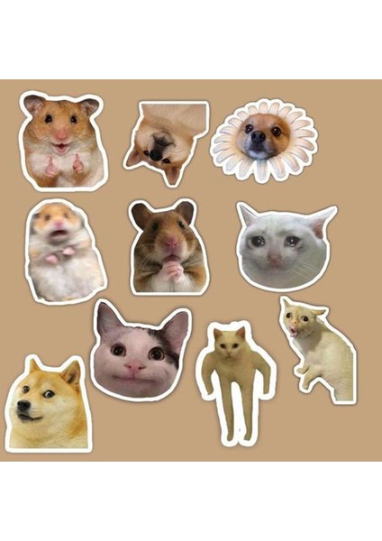 Kedi Sticker Telefon Laptop Notebook Tablet Defter Matara Stiker Etiket ST567