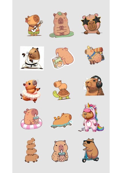 Capybara Sticker Telefon Laptop Notebook Tablet Defter Matara Stiker Etiket ST1782