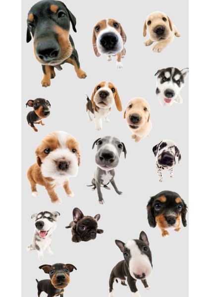 Köpekler Sticker Telefon Laptop Notebook Tablet Defter Matara Stiker Etiket ST958