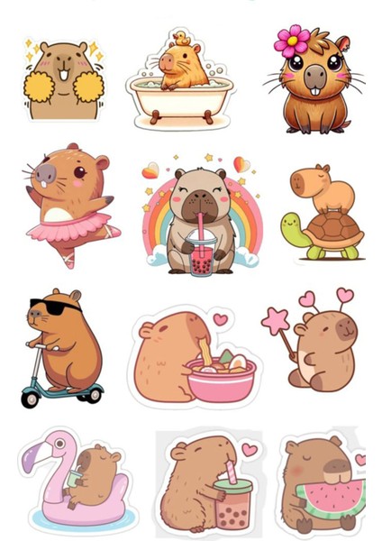 Capybara Sticker Telefon Laptop Notebook Tablet Defter Matara Stiker Etiket ST1756