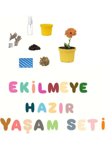 Ekilmeye Hazır Yaşam Seti