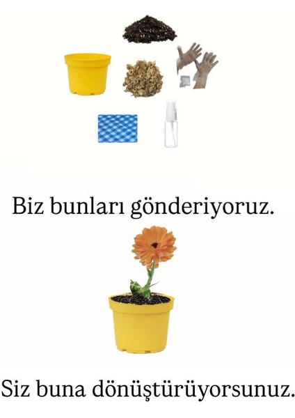 Ekilmeye Hazır Yaşam Seti fiyatları