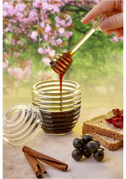 Şık Kovan Şekilli Kaşıklı 3 Parça Kristal Bal ve Reçel Kavanozu fiyatları