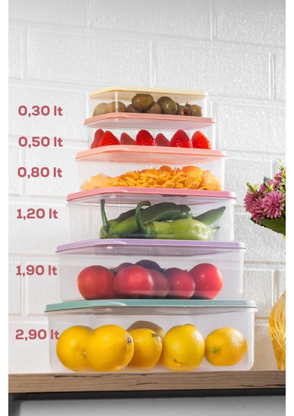6'lı Renkli Derin Dondurucu ve Mikrodalga Saklama Kabı Seti