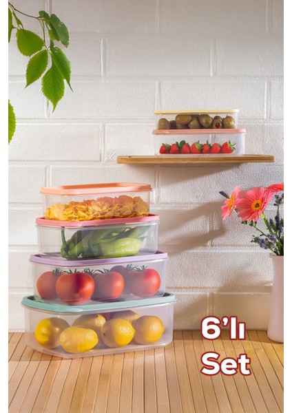 6'lı Renkli Derin Dondurucu ve Mikrodalga Saklama Kabı Seti fiyatları