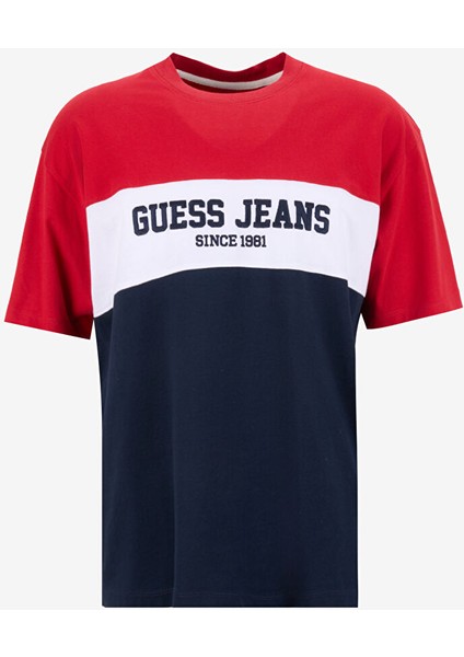 Çok Renkli Erkek Oversized Desenli T-Shirt M5GI45K8FQ4F7TW Gj Ss Cn Os Horızo