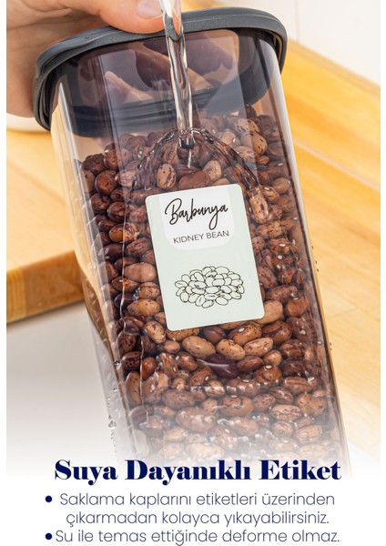 Renkli Etiketli 4'lü Dikdörtgen Saklama Kabı Seti, 4 Boyut, Antrasit fiyatları