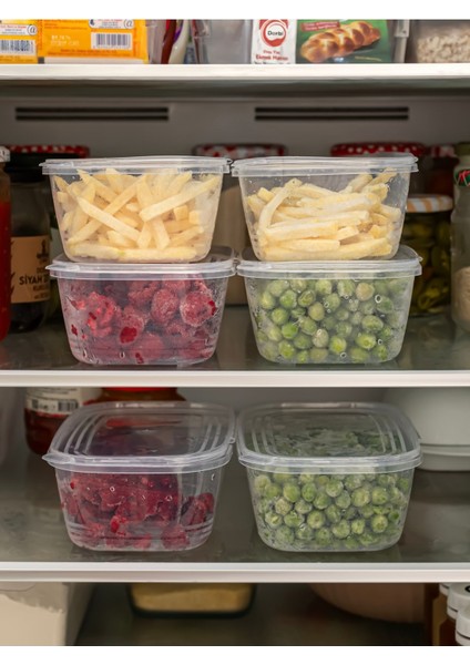 6'lı Turuncu Buzdolabı ve Dondurucu Saklama Kabı, Mikrodalga Uyumlu (1 Lt) modelleri