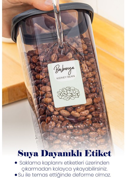 Renkli Etiketli 6'lı Dikdörtgen Baharat Saklama Kabı Seti, 400 Ml, Antrasit fiyatları