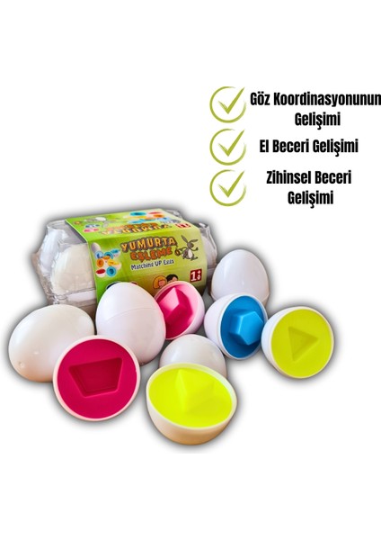 Geometrik Yumurta Eşleme Oyunu Kutulu Renkli Yumurtalar (6 Lı)