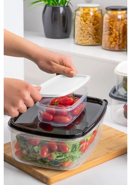 6'lı Dikdörtgen Plastik Saklama Kabı Seti, Gri, Çok Amaçlı, Pratik ve Dayanıklı fiyatları