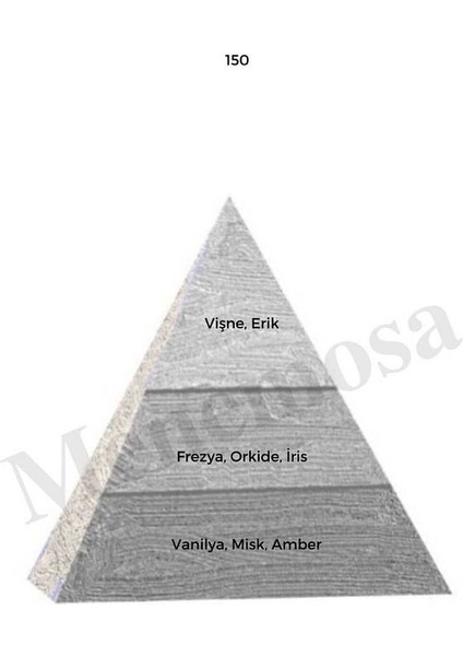 150 150 Kadın Parfüm Edp 50 ml Woody - Mnms501502 fiyatları