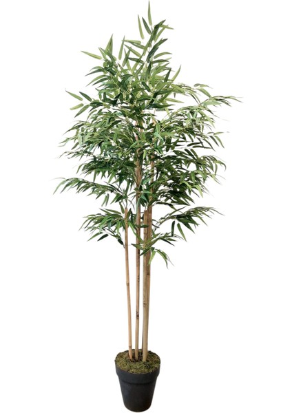 Yapay Ağaç Dekoratif Bambu 180 cm 6 Dallı fiyatları