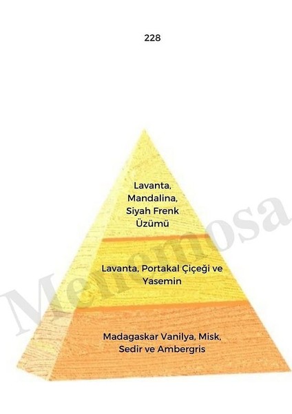 709 228 Erkek/kadın Parfüm Edp 50 ml Oriental - Mnms50709228 fiyatları