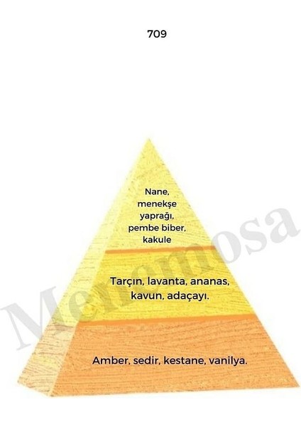 709 228 Erkek/kadın Parfüm Edp 50 ml Oriental - Mnms50709228 modelleri