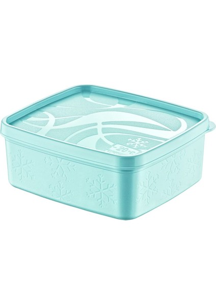 Şeffaf Derin Dondurucu Saklama Kabı 0,7 L, Mor, Pratik ve Güvenli Saklama Için modelleri