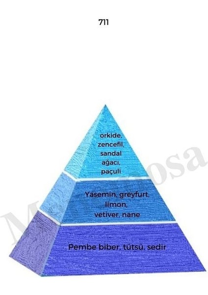 711 323 Erkek/kadın Parfüm Edp 50 ml Fresh/oriental - Mnms50711323 fiyatları