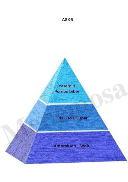 Ask6 154 Erkek/kadın Parfüm Edp 50 ml Fresh/floral - Mnms50ask6154 fiyatları