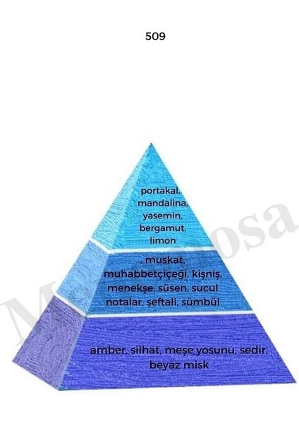 509 154 Erkek/kadın Parfüm Edp 50 ml Fresh/floral - Mnms50509154 fiyatları