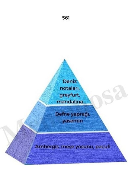 561 254 Erkek/kadın Parfüm Edp 50 ml Fresh/floral - Mnms50561254 fiyatları