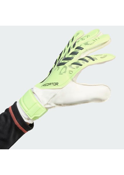 Yeşil Kaleci Eldiveni PRED GL TRN JN5356 fırsatları