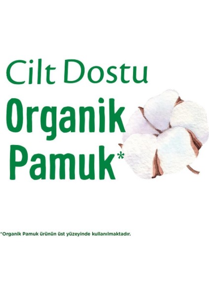 Nessiworld Molped Pure&soft Normal Ped Süper Eko 24 Adet fiyatları