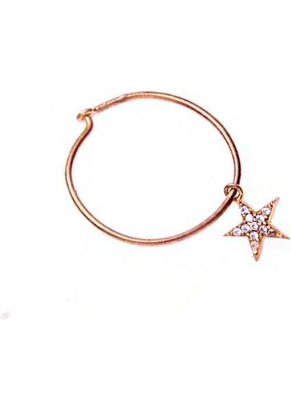 Yıldız Gümüş Küpe SB1130 fiyatları